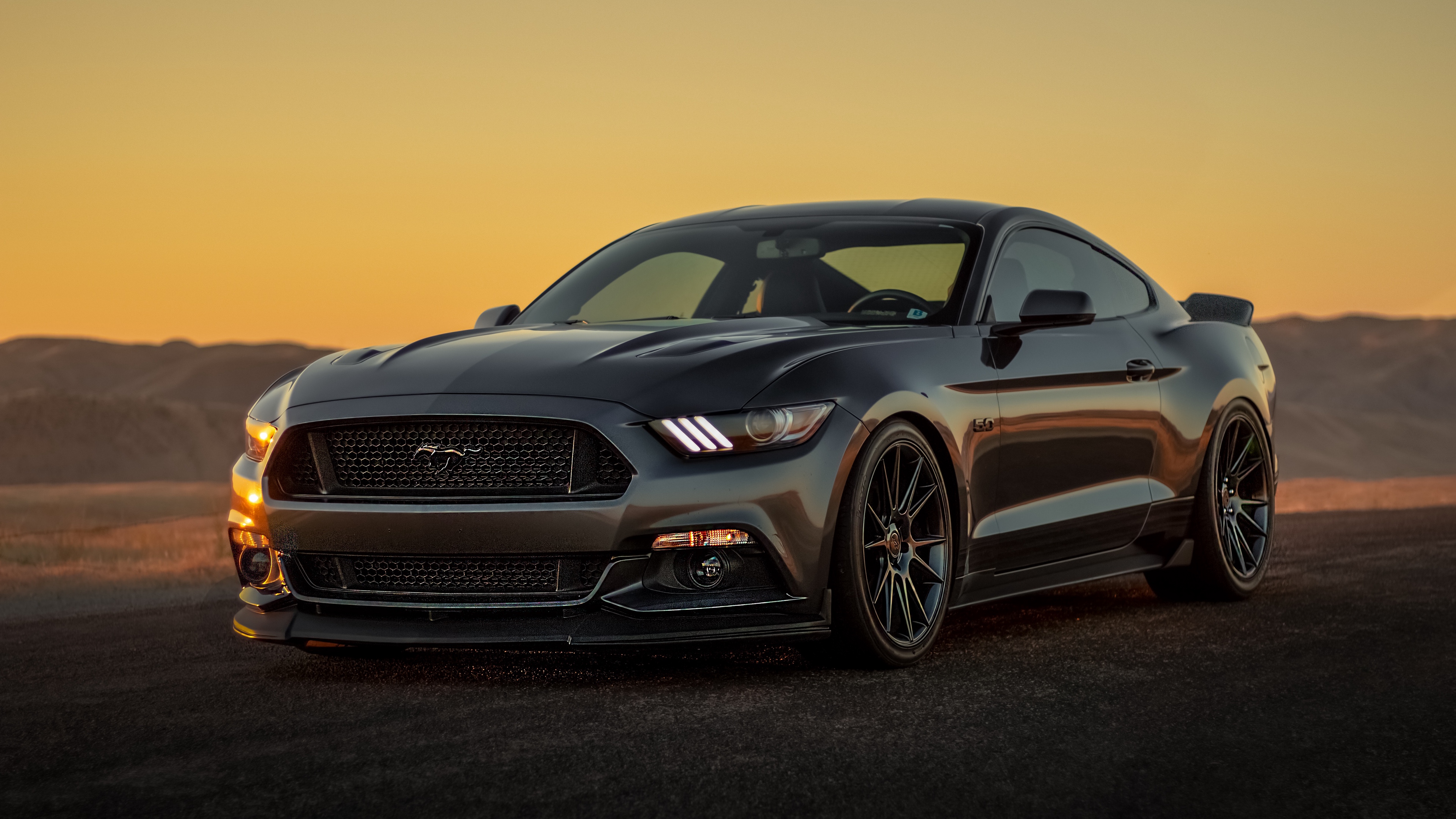 fond d'écran mustang,véhicule terrestre,véhicule,voiture,muscle car,voiture de performance