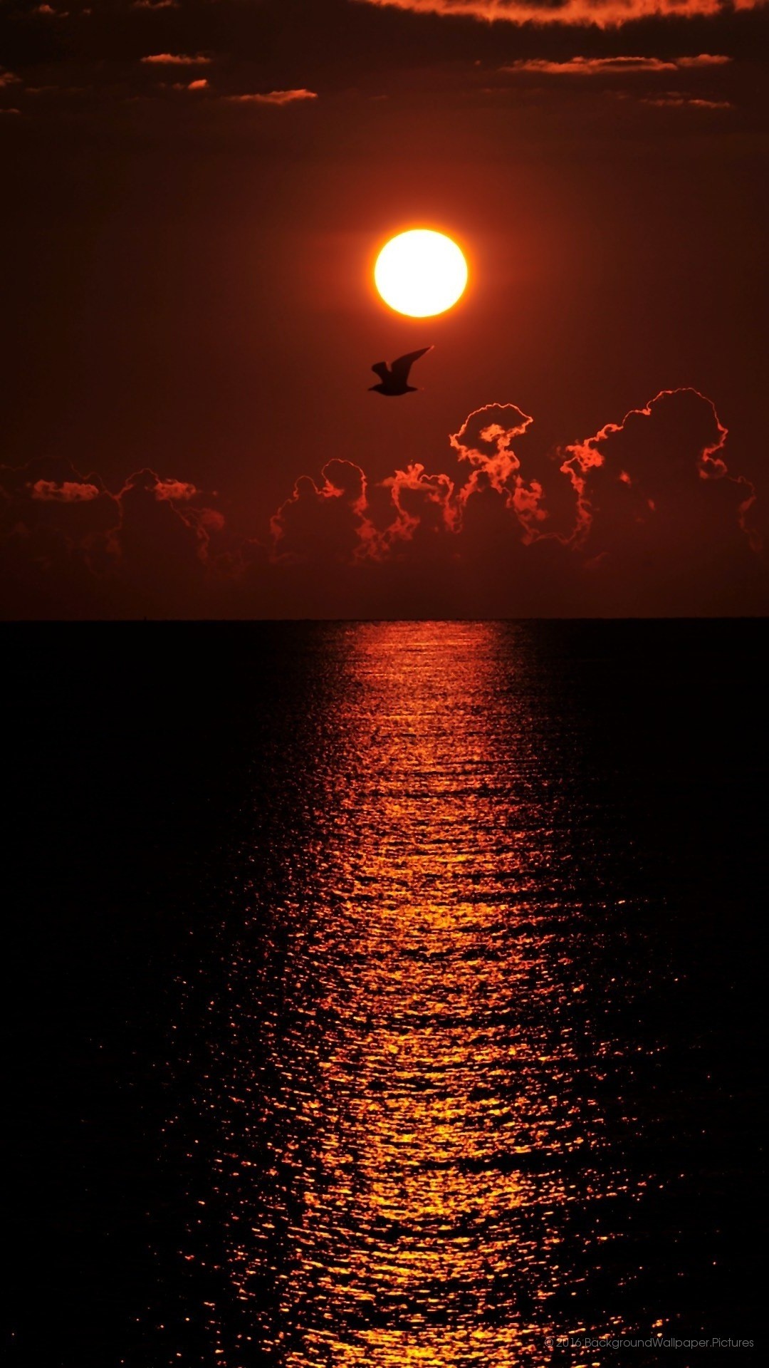 sfondo per celular hd,cielo,orizzonte,tramonto,sole,mare