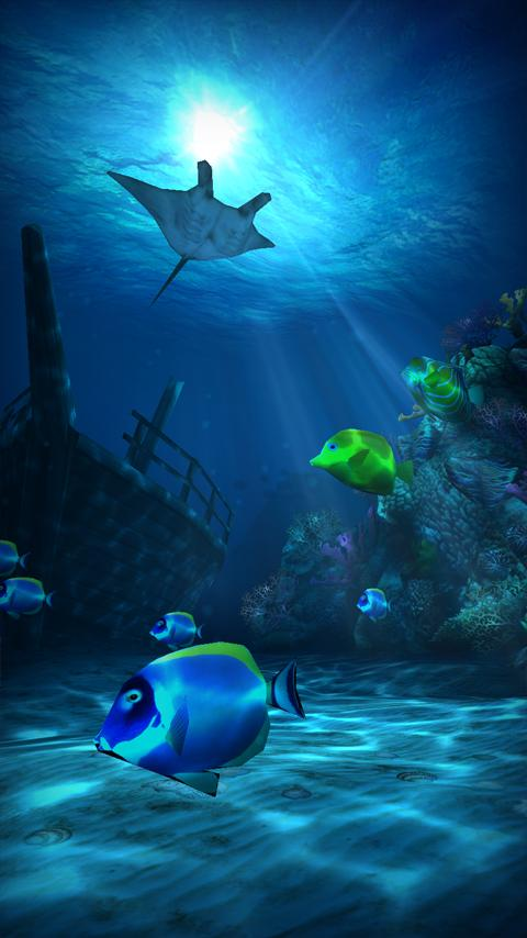 wallpapers para android,underwater,marine biology,fish,ocean,fish