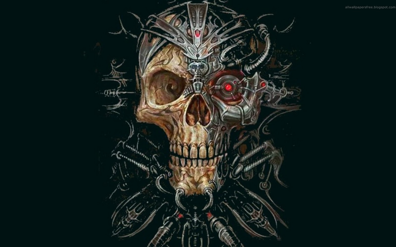 imagenes hd wallpaper,illustration,bone,skull,art,graphic design