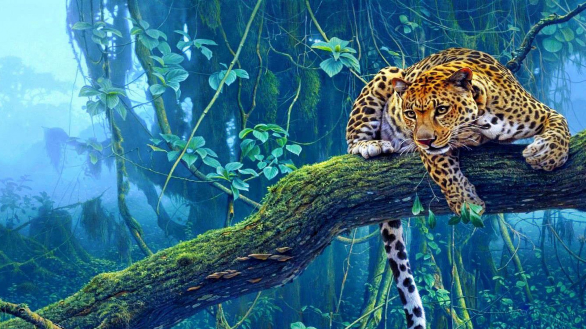 imagenes fondo de pantalla hd,animal terrestre,fauna silvestre,leopardo,felidae,jaguar