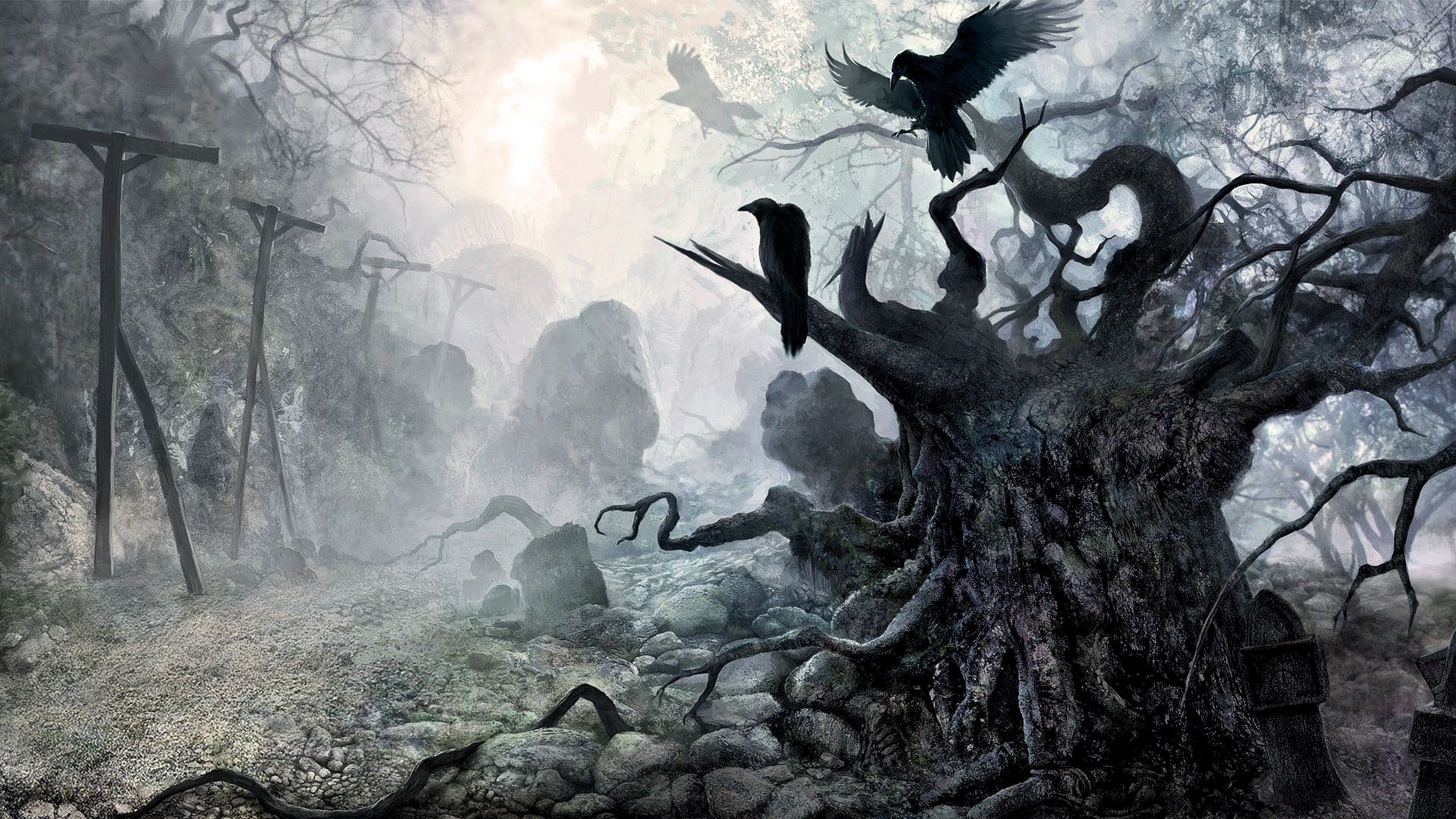 imagenes hd wallpaper,atmospheric phenomenon,tree,branch,forest,atmosphere