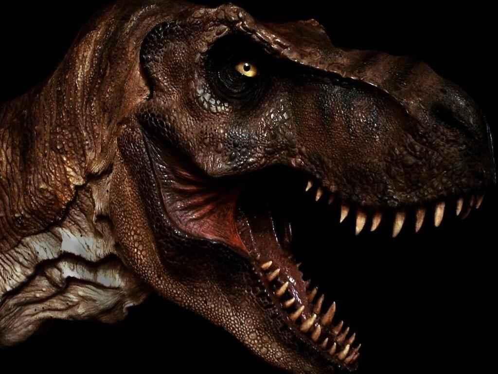 imagenes hd壁紙,恐竜,ティラノサウルス,ヴェロキラプトル,あご,口