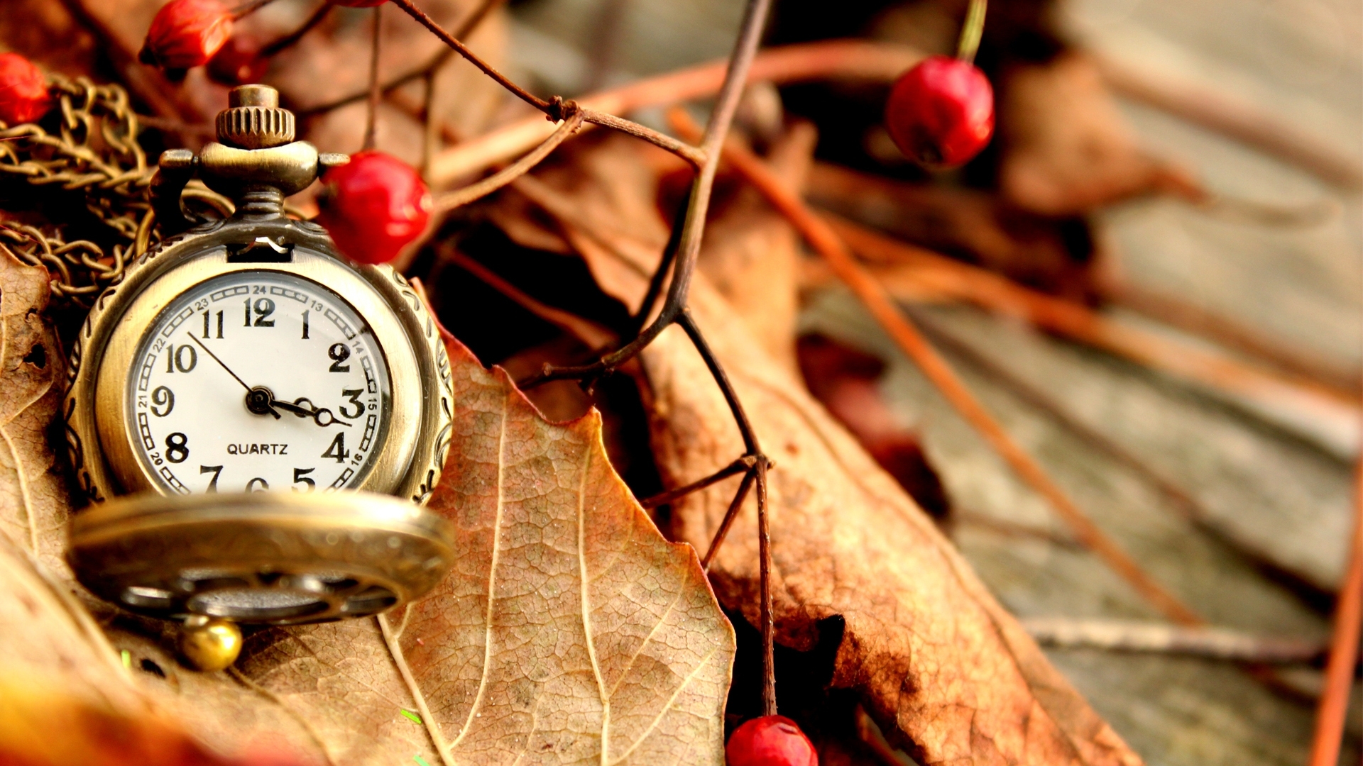 imagenes hd wallpaper,watch,still life photography,clock,pocket watch,leaf