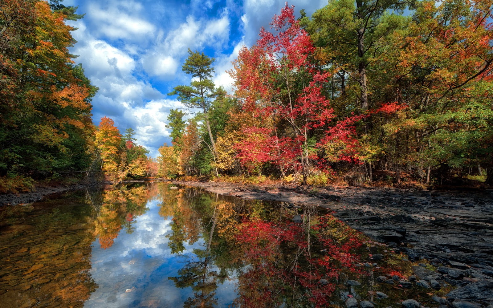 imagenes fondo de pantalla hd,reflexión,paisaje natural,naturaleza,árbol,río