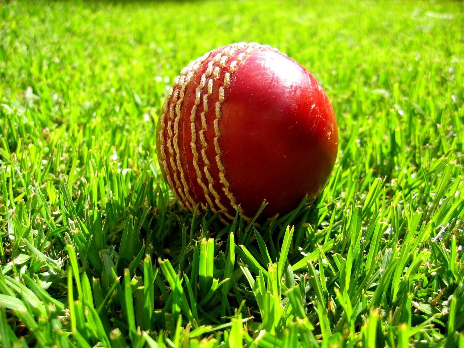 sfondi di cricket,cricket,palla da cricket,erba,gli sport,pipistrello e giochi con la palla