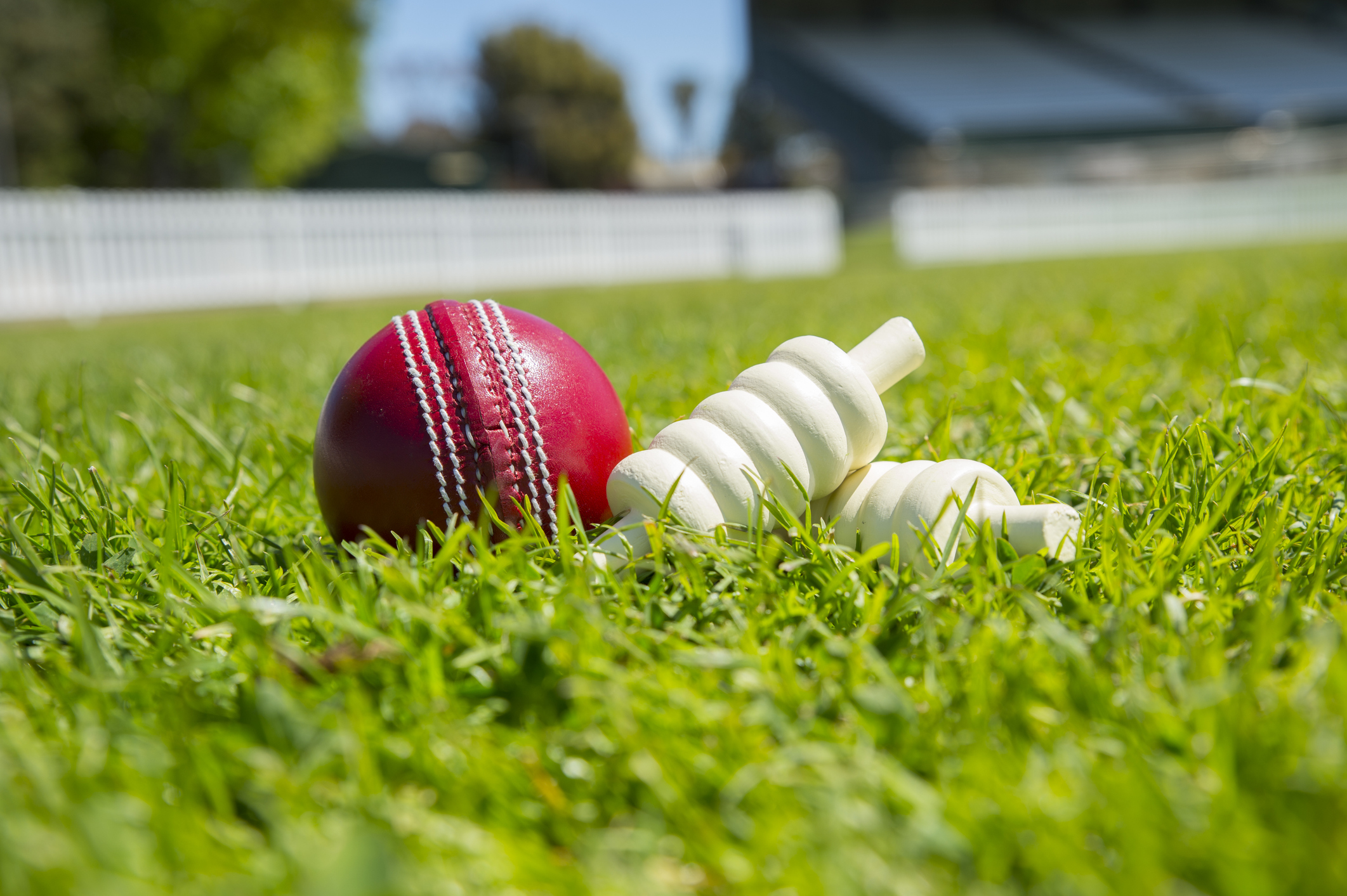 fonds d'écran de cricket,herbe,balle de cricket,pelouse,des sports,jeux