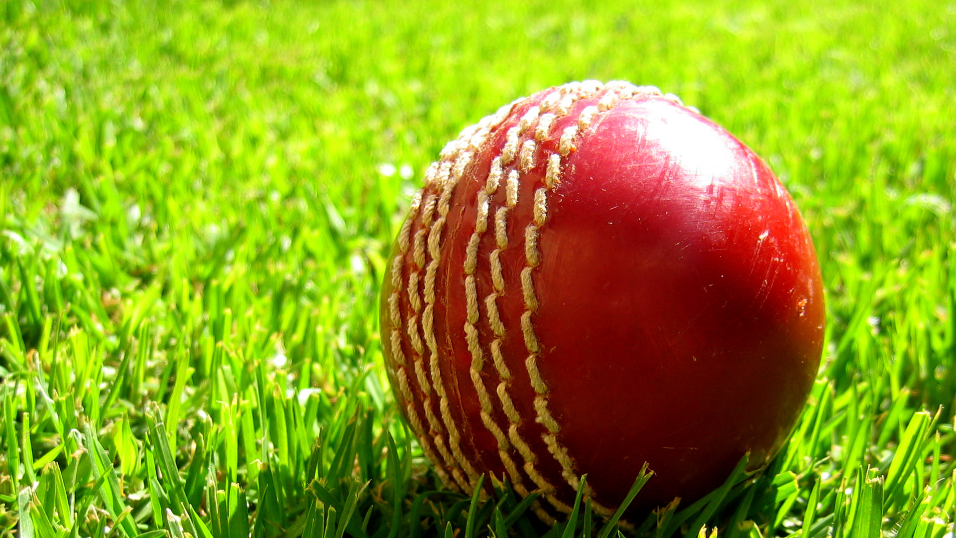 cricket hintergründe,kricket,cricket ball,gras,sport,schläger  und ballspiele