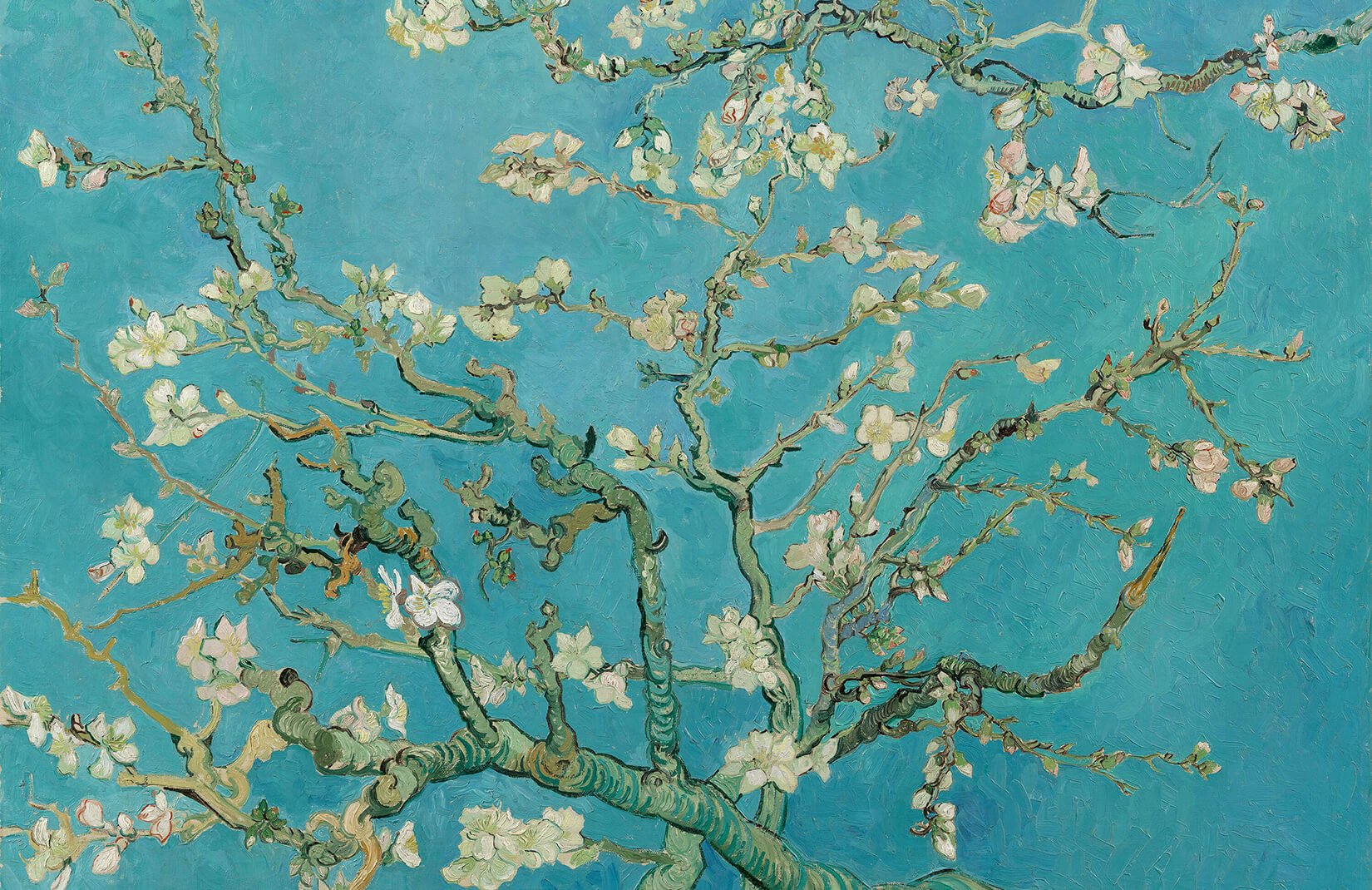 van gogh wallpaper,aqua,blue,branch,turquoise,tree
