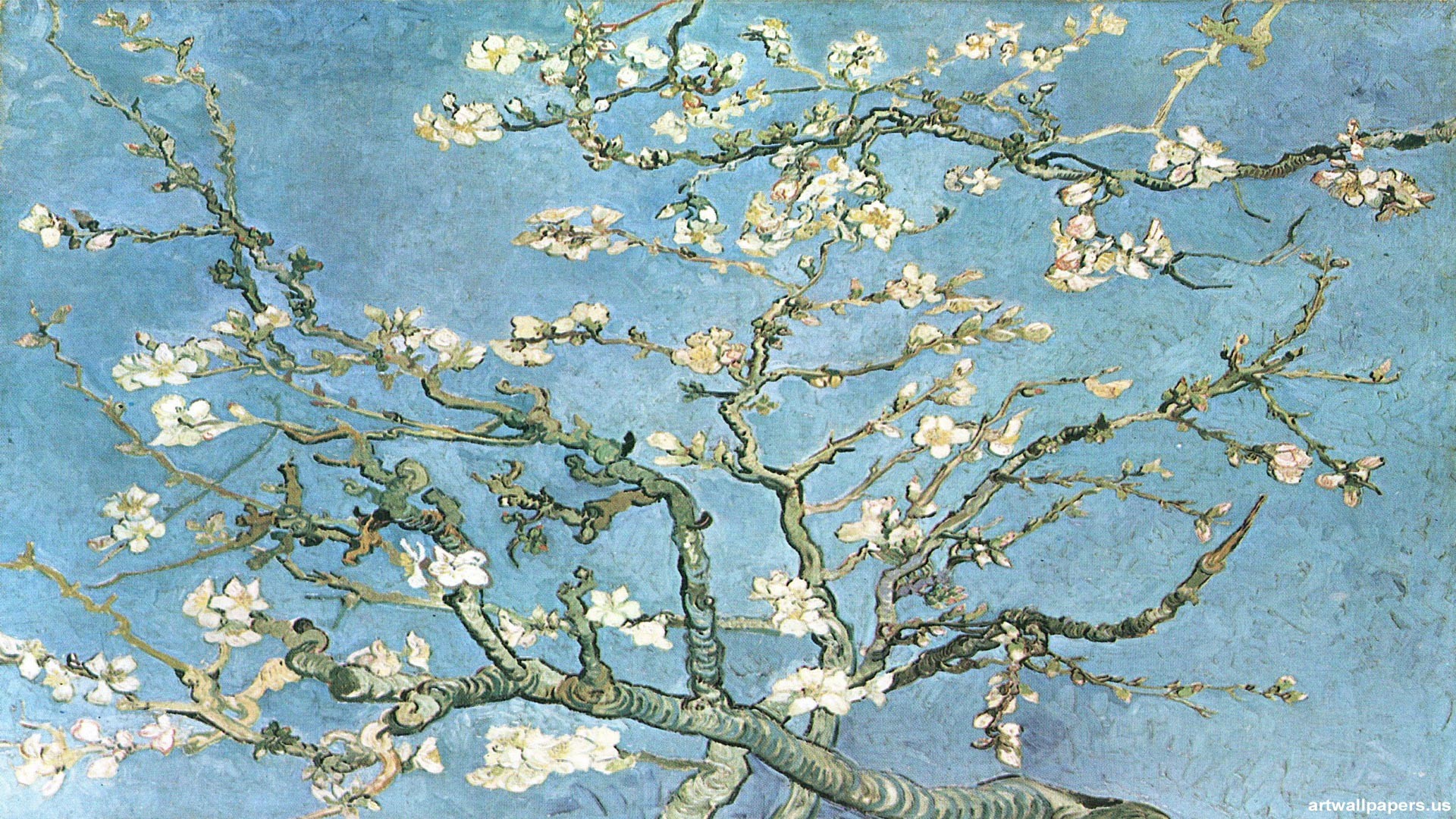 van gogh wallpaper,branch,tree,plant,flower,blossom