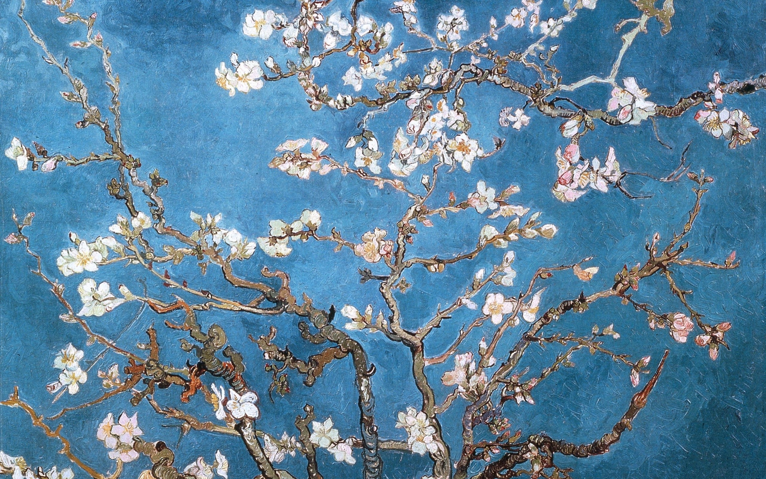 fondo de pantalla de van gogh,florecer,flor,primavera,planta,árbol