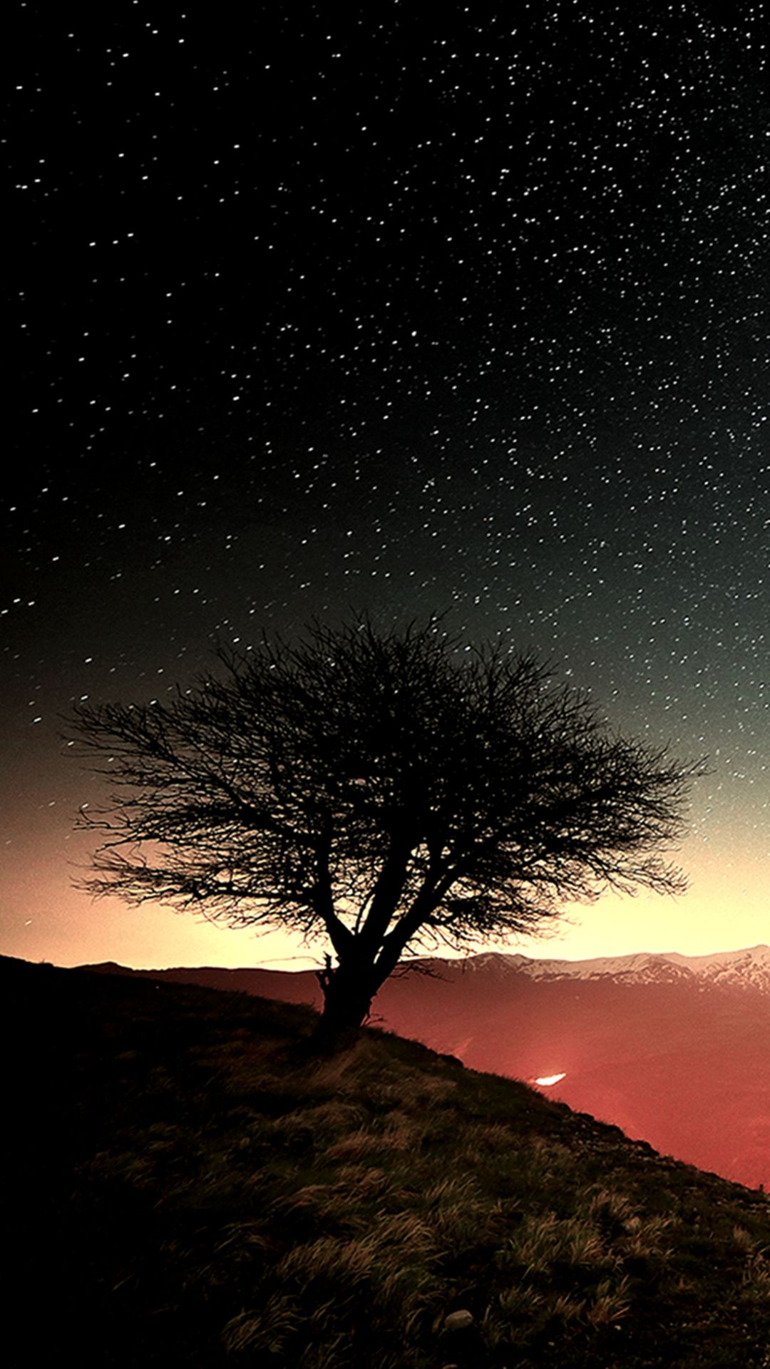 dunkle tapeten für handys,himmel,natur,baum,natürliche landschaft,nacht