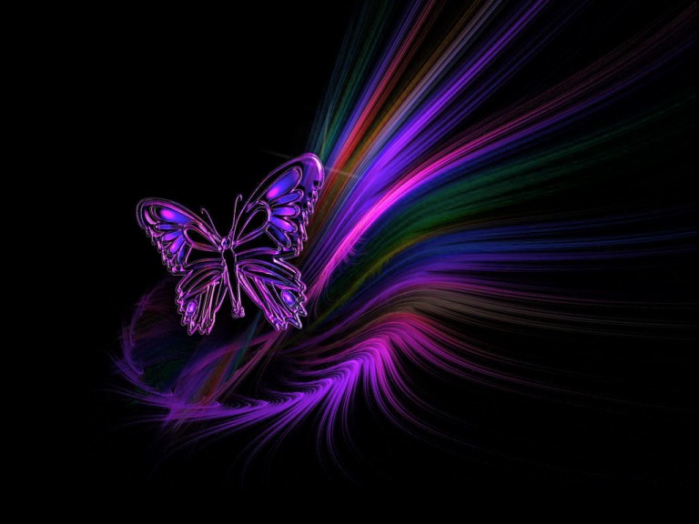 hd stock wallpapers,purple,butterfly,violet,insect,moths and butterflies