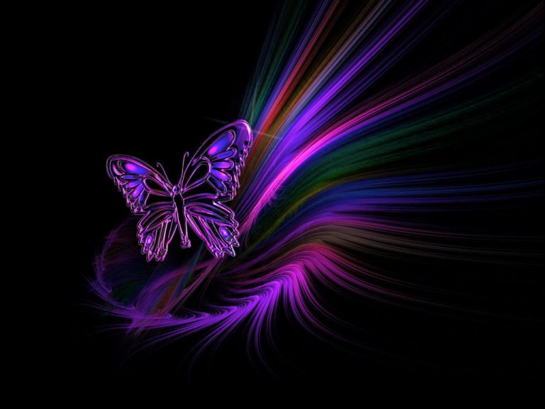 hd stock wallpaper,lila,schmetterling,violett,insekt,motten und schmetterlinge