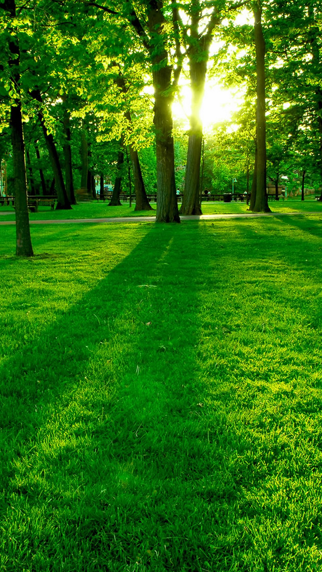 nature wallpaper for android,green,natural landscape,nature,grass,lawn