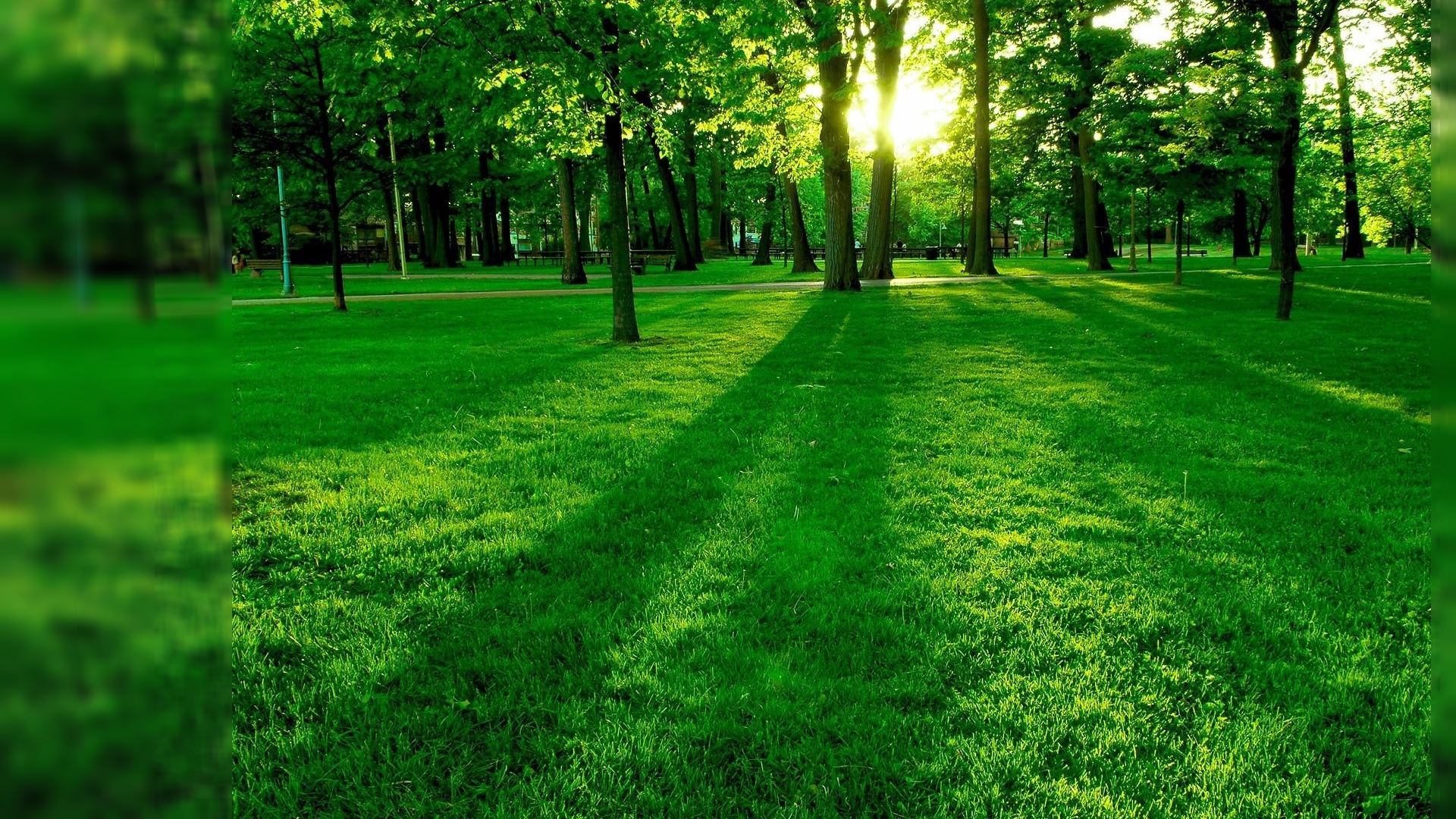 nature wallpaper for android,green,natural landscape,nature,lawn,grass