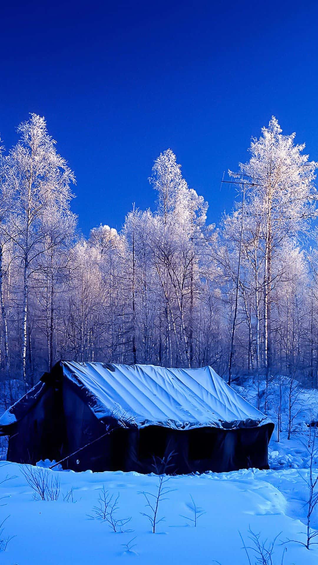 natur wallpaper für android,winter,natur,schnee,natürliche landschaft,einfrieren