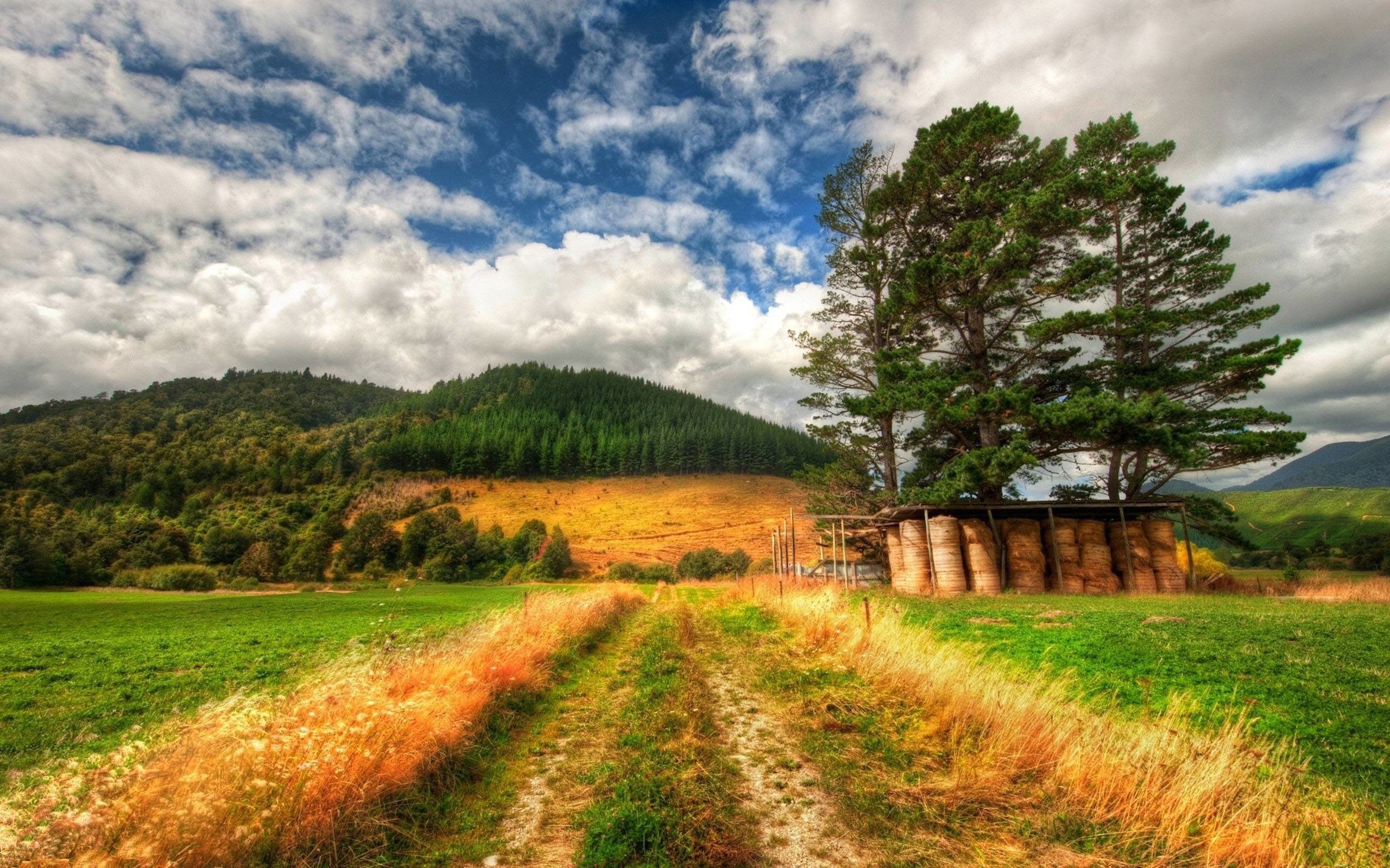 neue schöne tapeten,natürliche landschaft,natur,himmel,schotterstraße,baum