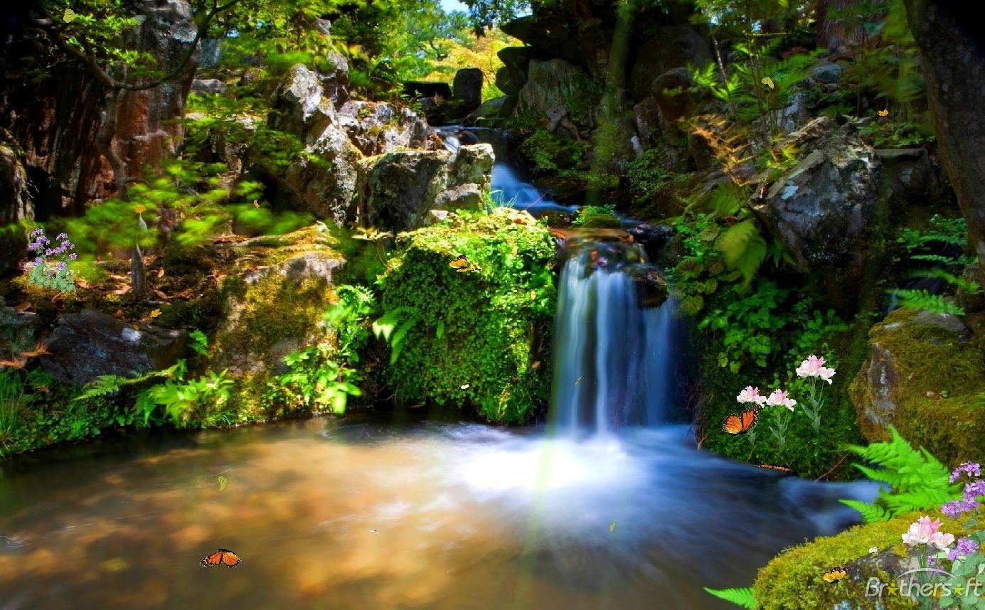 naturaleza live wallpaper,cascada,cuerpo de agua,recursos hídricos,paisaje natural,naturaleza