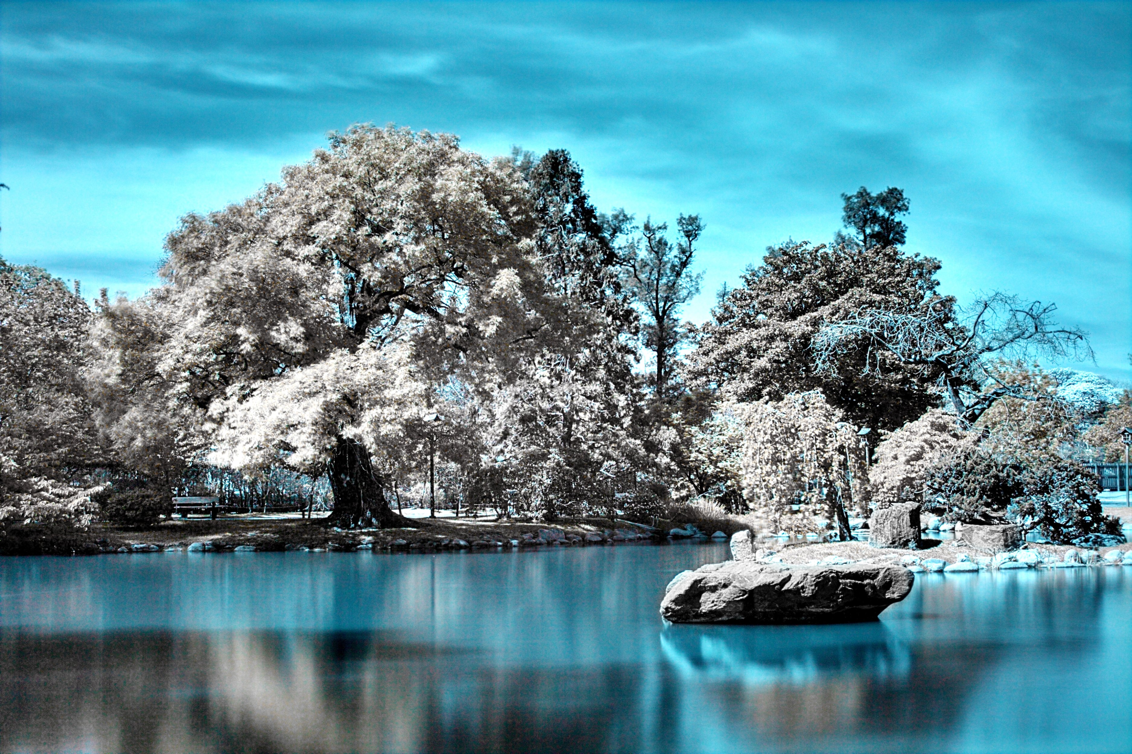 papel tapiz de fotografía,paisaje natural,naturaleza,cuerpo de agua,agua,cielo