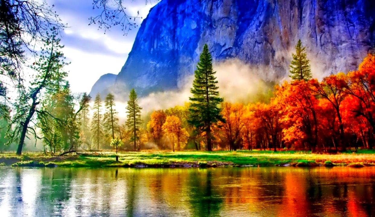 belleza fondo de pantalla completo,paisaje natural,naturaleza,reflexión,árbol,cielo
