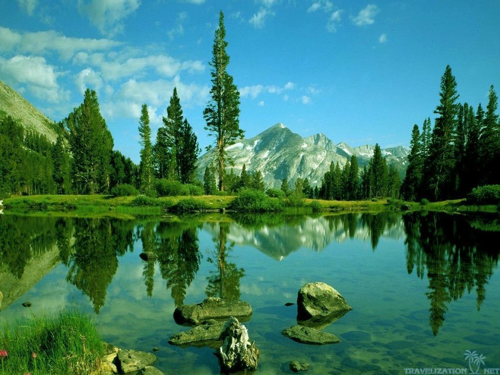美しい壁紙の写真,自然の風景,自然,反射,湖,木