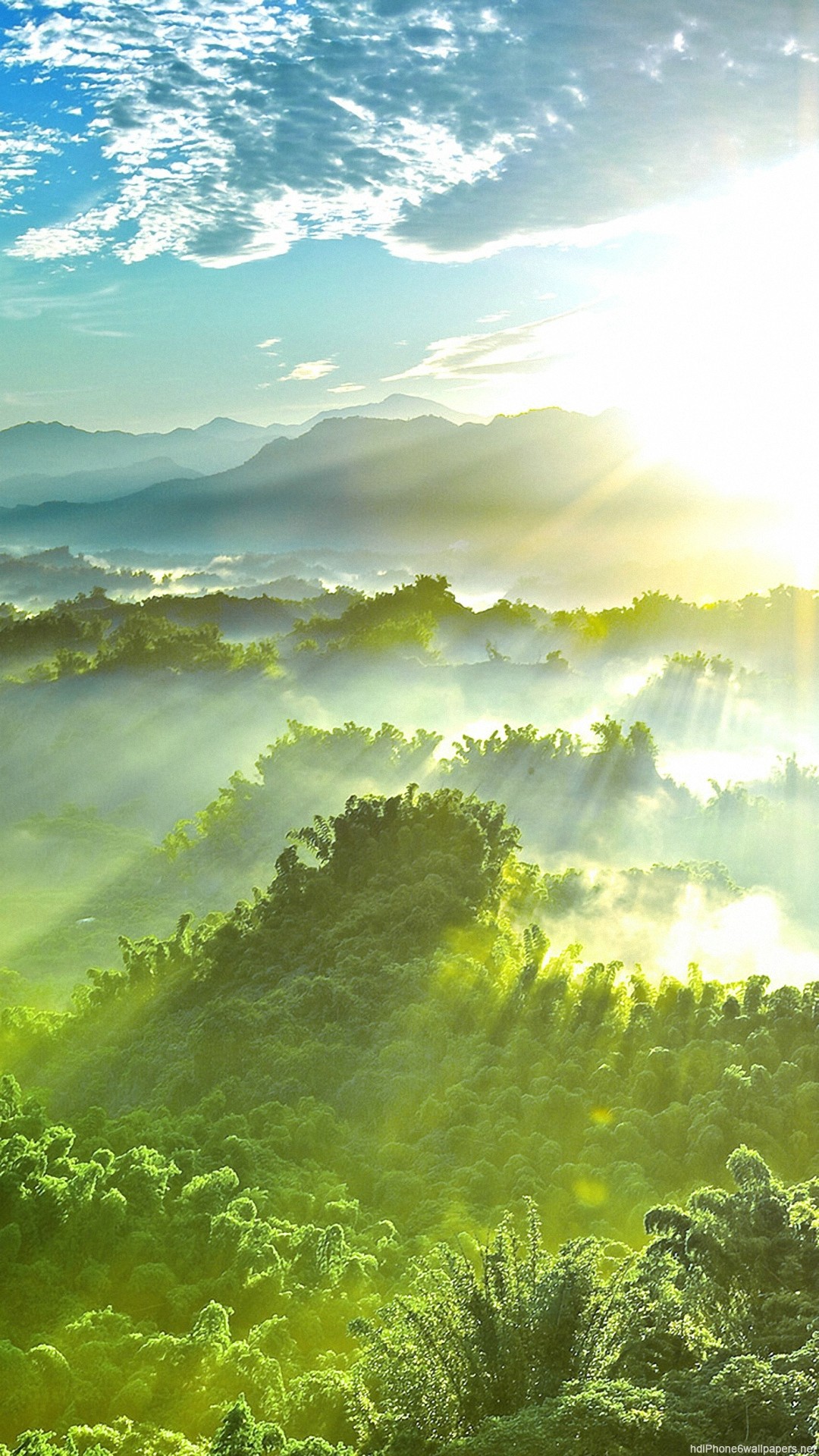 美フル壁紙,自然,空,自然の風景,緑,朝