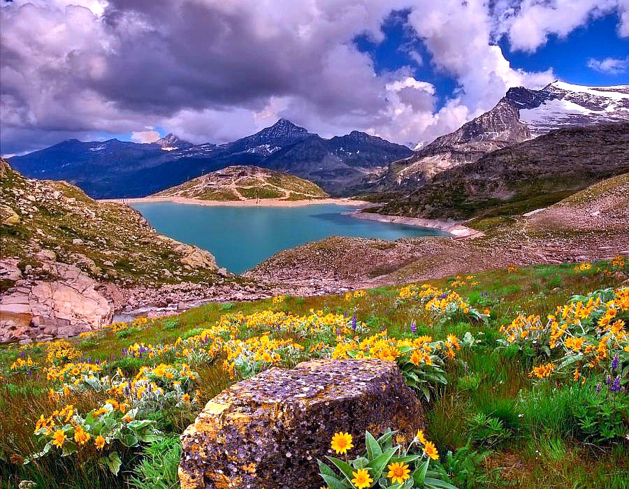 beauté fond d'écran complet,paysage naturel,la nature,montagne,fleurs sauvages,prairie