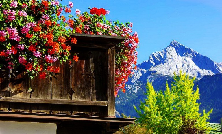 belles photos de fond d'écran,la nature,paysage naturel,fleur,montagne,station de montagne