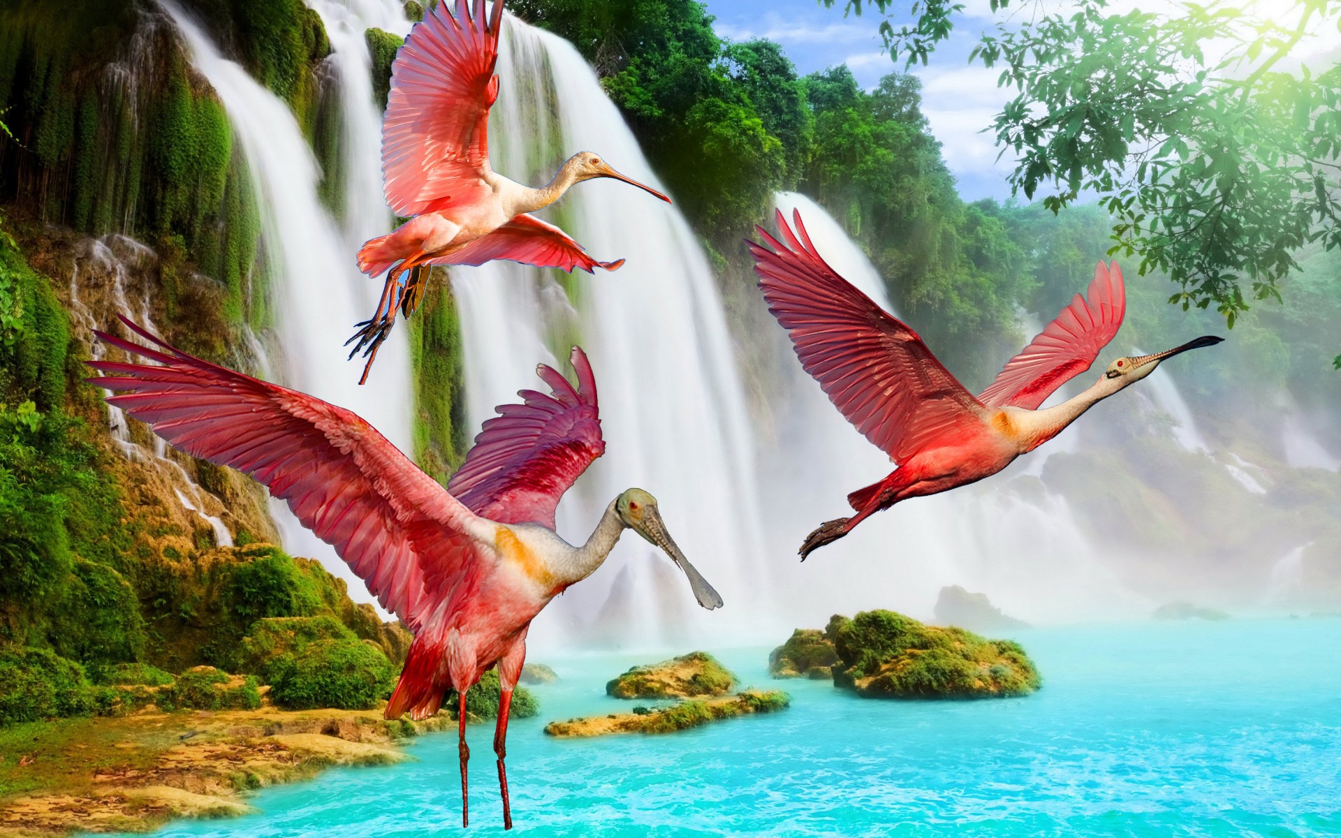 beautiful wallpaper photos,bird,nature,natural landscape,water bird,organism