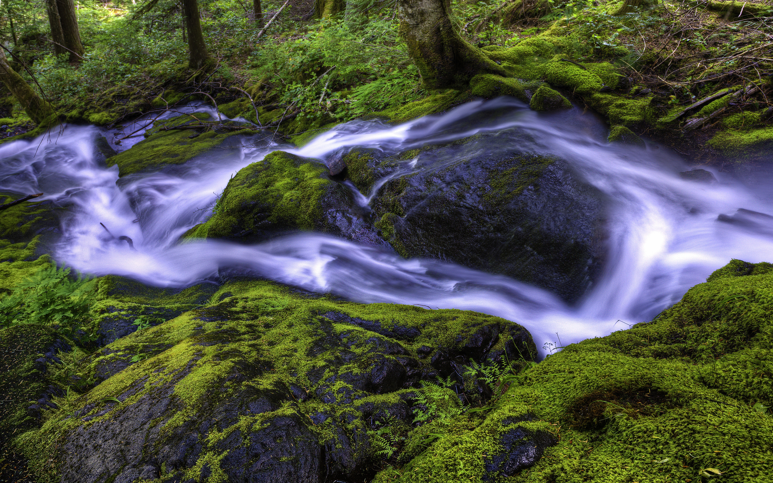 belle foto di sfondo,paesaggio naturale,natura,risorse idriche,corpo d'acqua,alveo