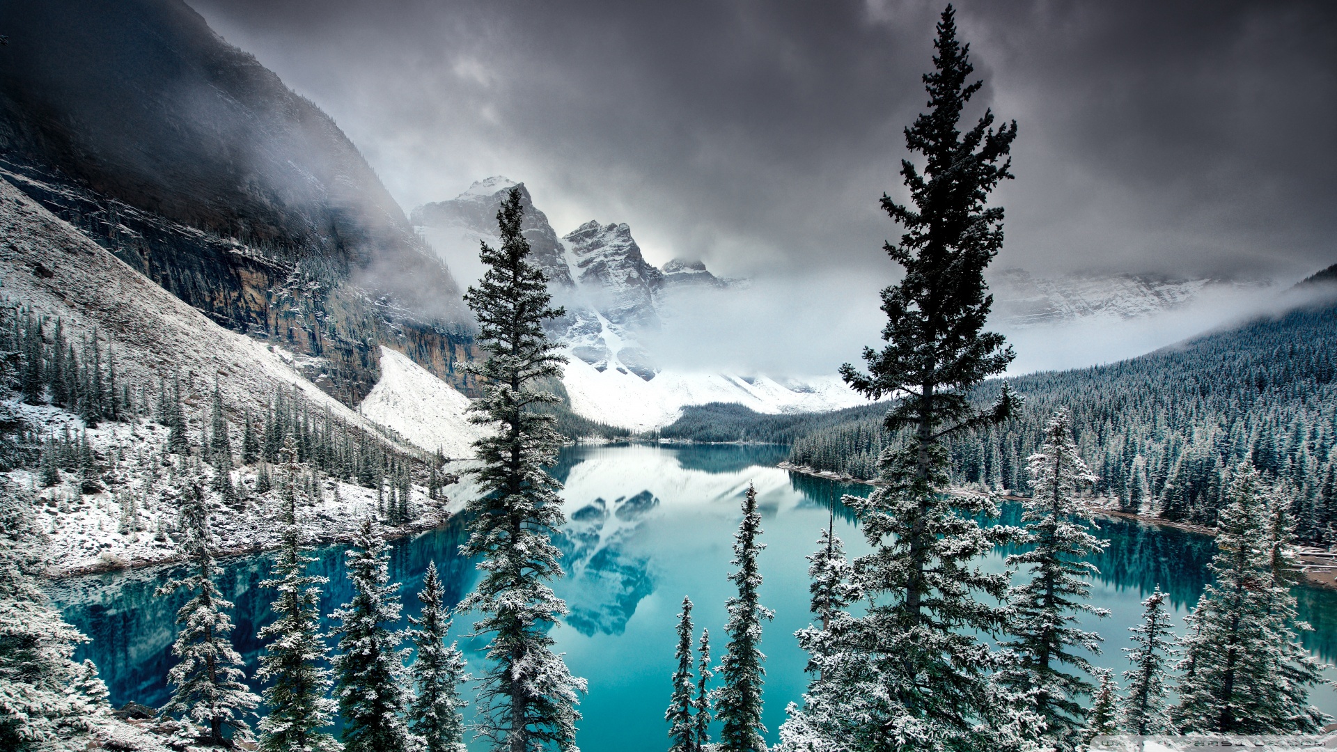 belles photos de fond d'écran,la nature,neige,épinette noire à feuilles courtes,hiver,montagne