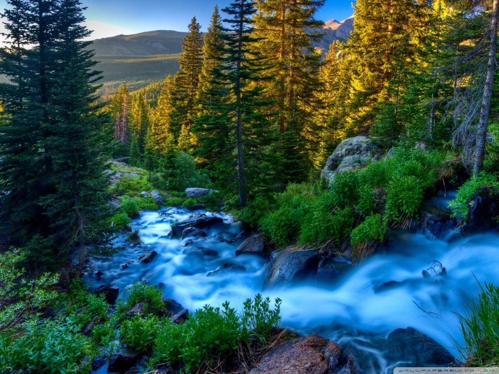 carta da parati fotografica natura,paesaggio naturale,natura,corpo d'acqua,larice larix lyalliisubalpine,fiume di montagna