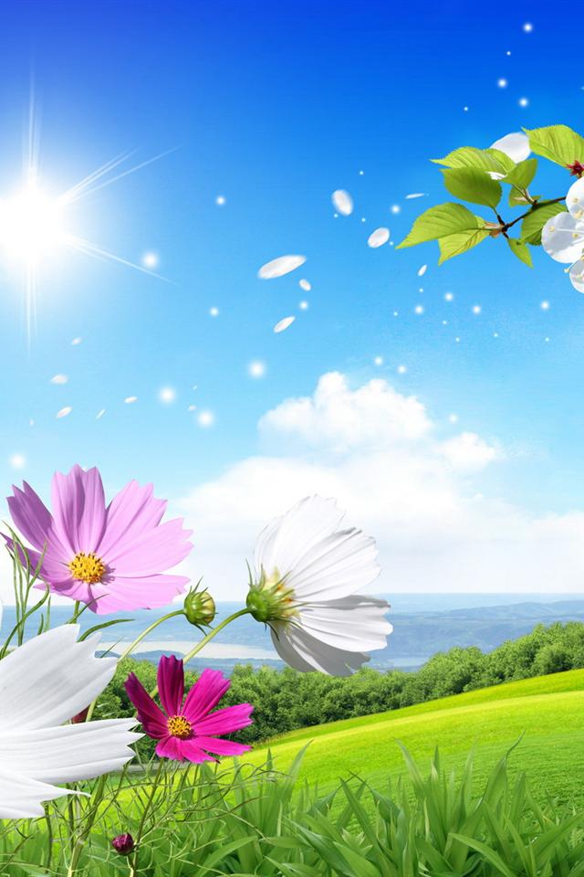 hermosas fotos de fondo de pantalla,paisaje natural,naturaleza,cielo,flor,pétalo