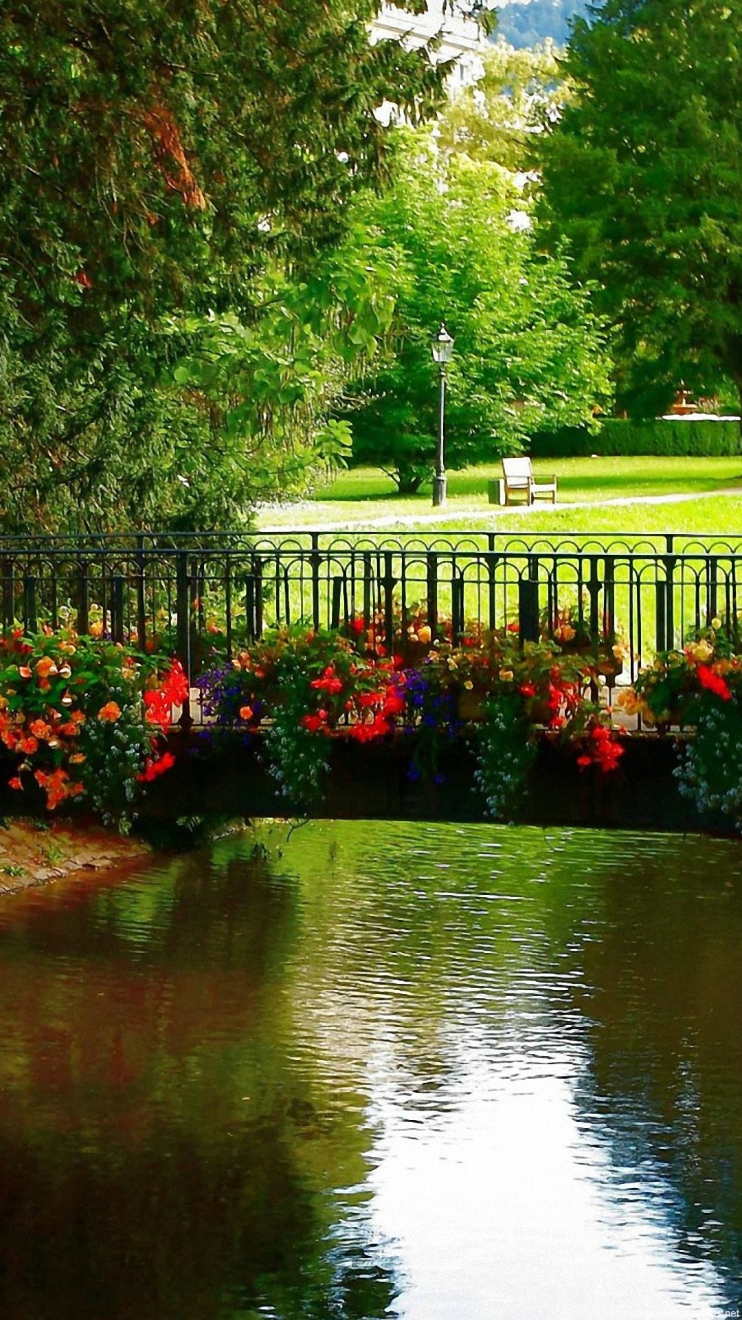 schöne tapetenfotos,natürliche landschaft,natur,betrachtung,wasserweg,botanischer garten