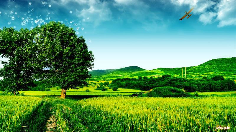 nature photo wallpaper,natural landscape,nature,people in nature,green,sky