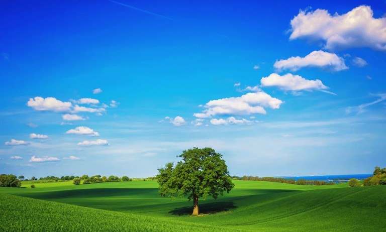 carta da parati fotografica natura,cielo,paesaggio naturale,prateria,verde,natura