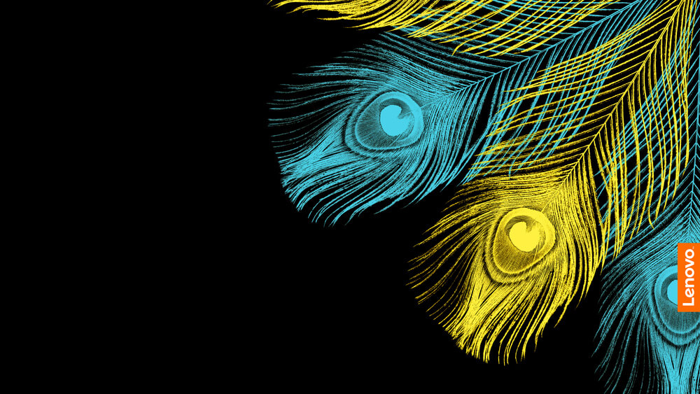 wallpaper laptop keren,feather,graphic design,fractal art,design,pattern