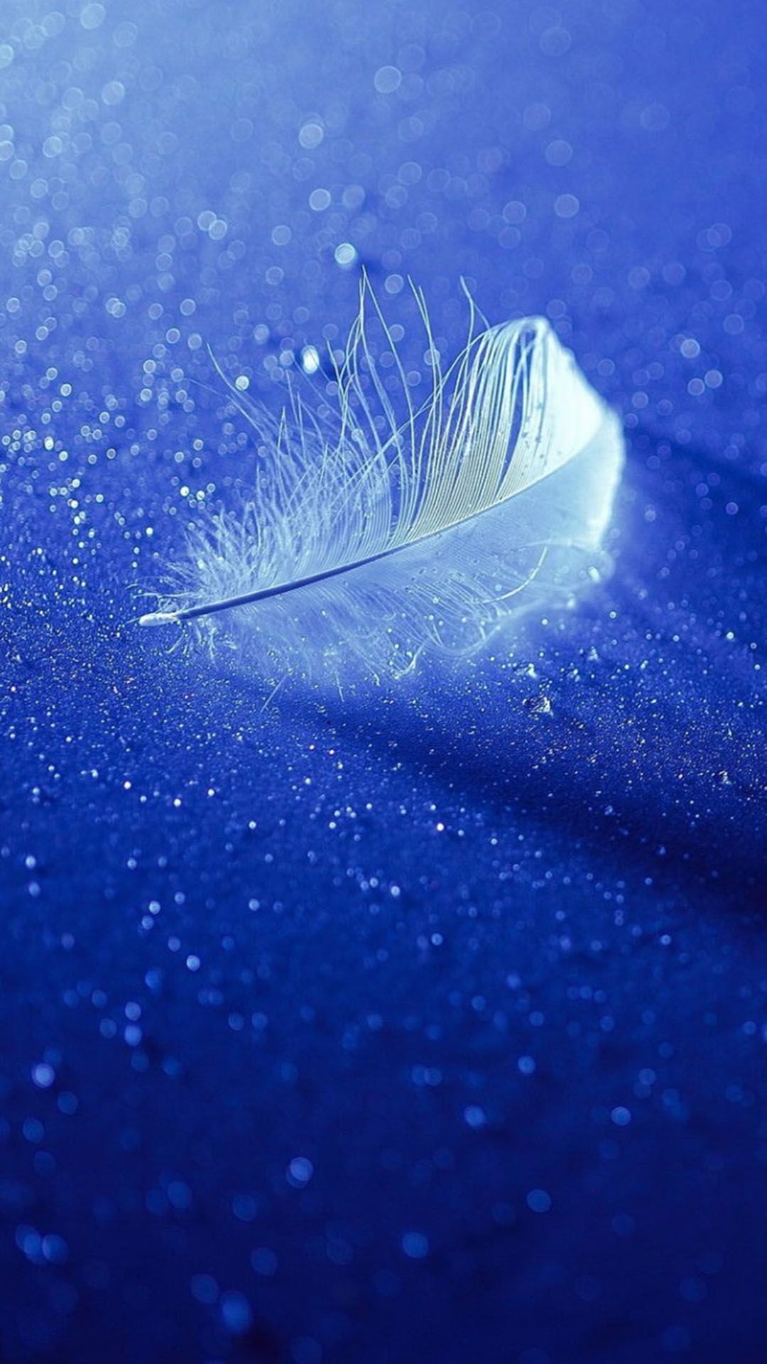 fonds d'écran hd pour mobile 1080x1920,bleu,plume,l'eau,ciel,bleu électrique