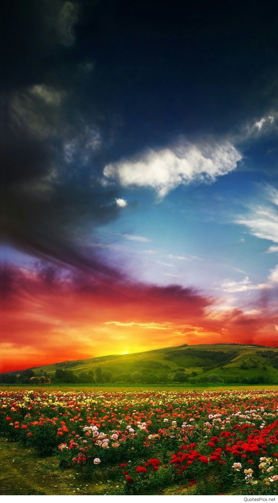 beautiful wallpaper for mobile,sky,nature,natural landscape,horizon,cloud