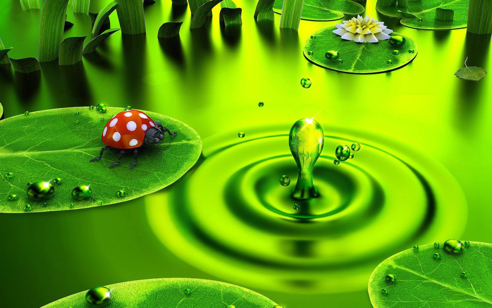 latest wallpaper download,green,water,leaf,dew,drop