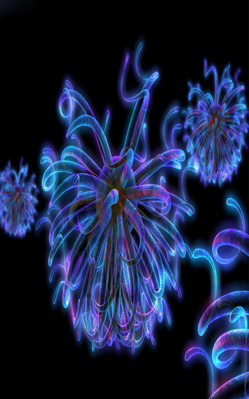 free wallpaper for cell phones,purple,fractal art,violet,organism,neon