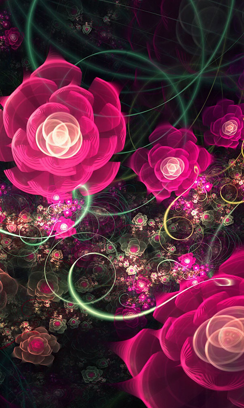 휴대폰 무료 배경 화면,분홍,장미,빨간,무늬,정원 장미
