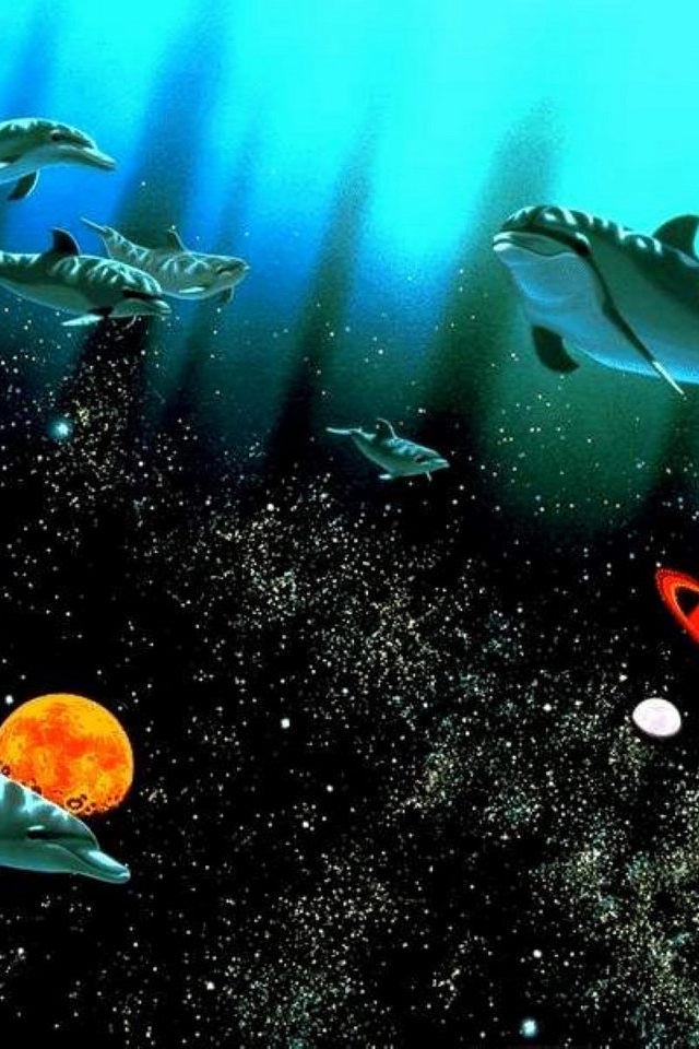 free wallpaper for cell phones,marine biology,underwater,water,organism,fish