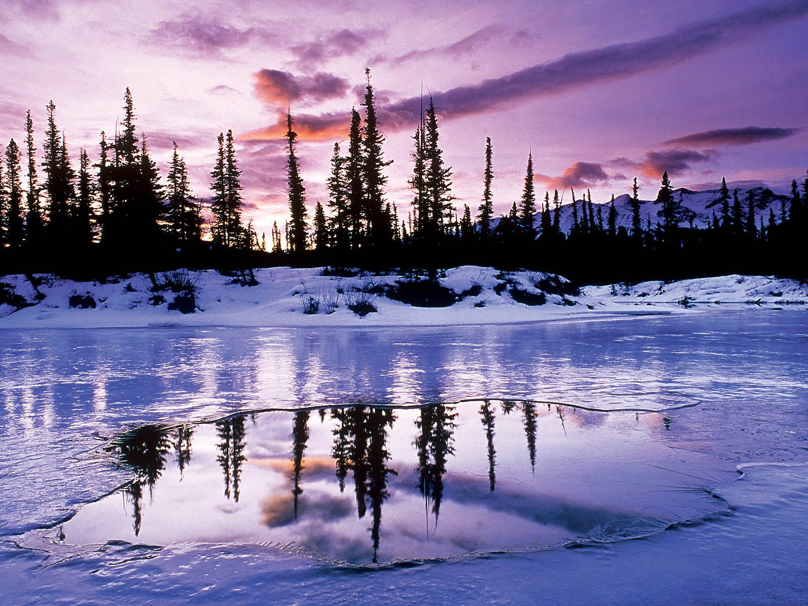 theme wallpaper free,natural landscape,nature,sky,reflection,winter