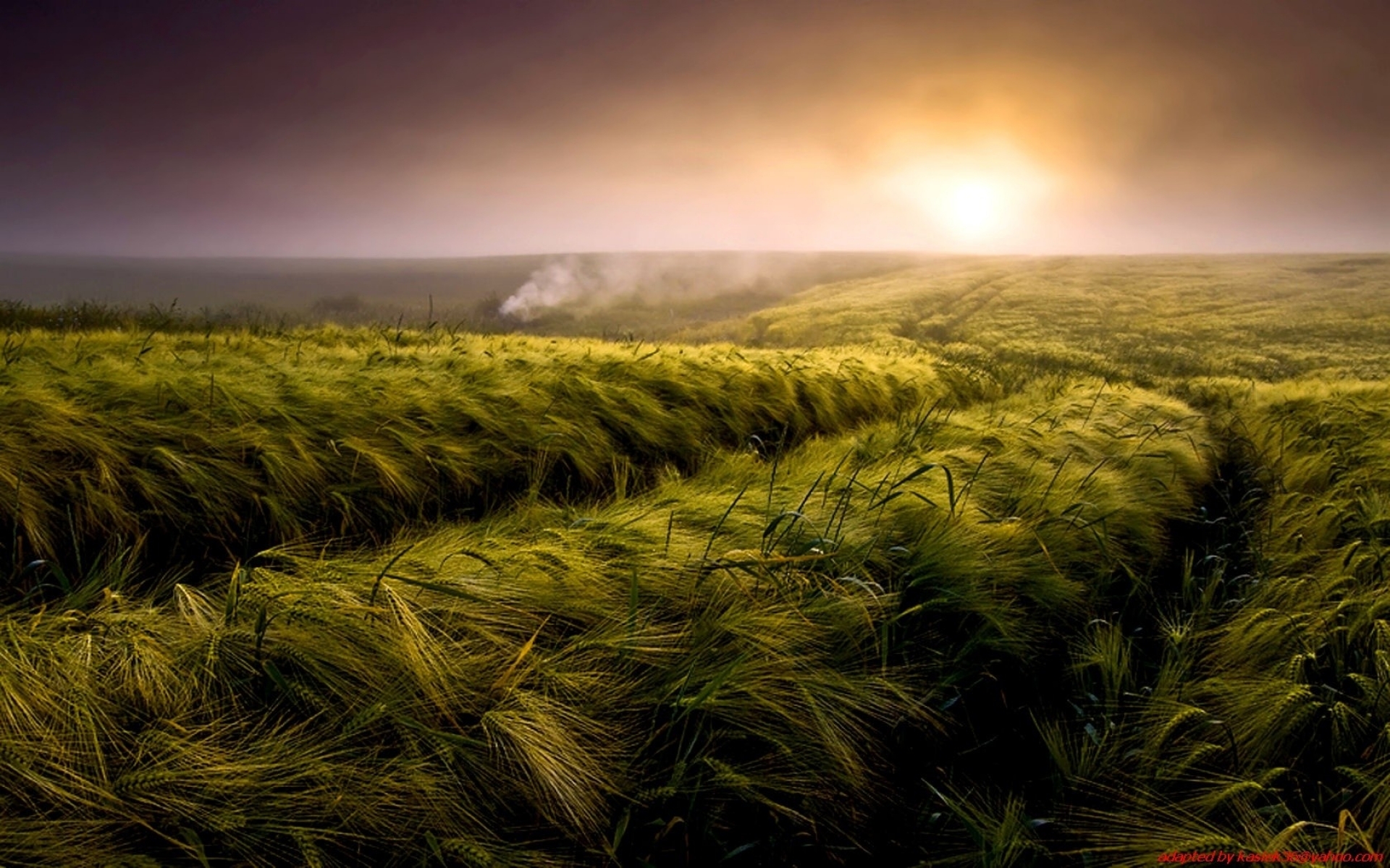 fondos de pantalla imágenes foto,naturaleza,campo,cielo,paisaje natural,césped