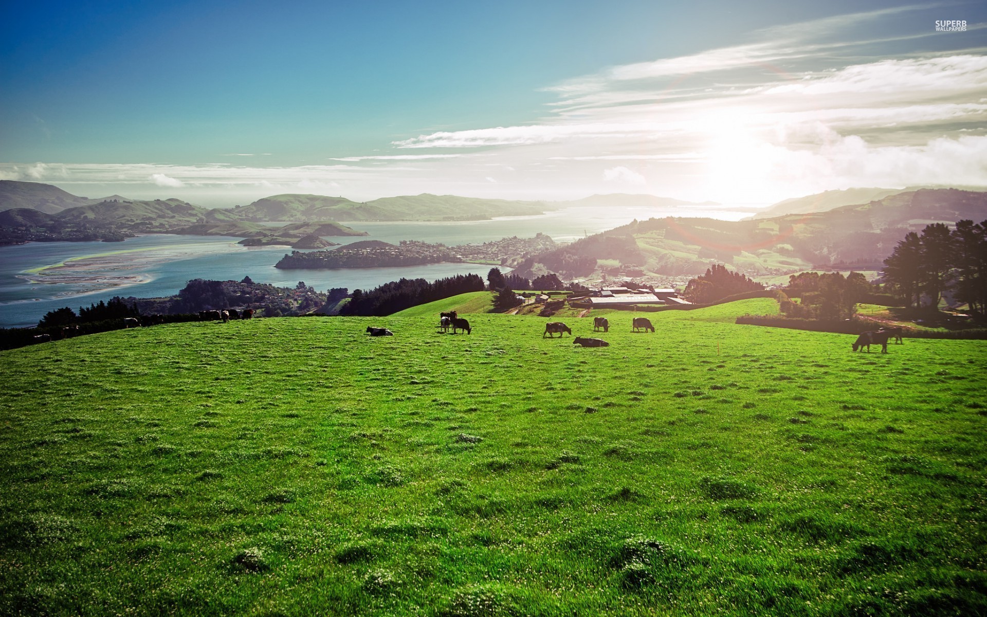 tapetenbilder foto,himmel,natürliche landschaft,natur,wiese,grün