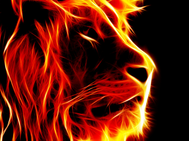 micromax壁紙hd,熱,火,火炎,ネコ科,ライオン