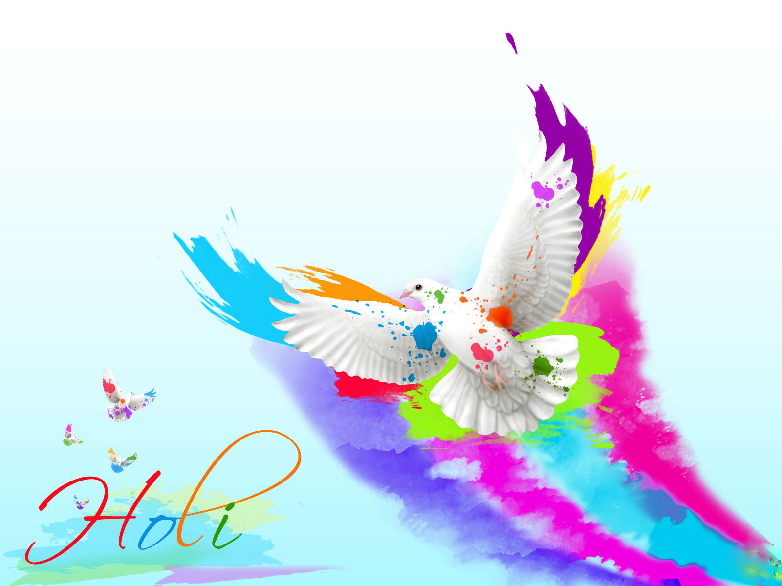 happy holi wallpaper,wing,graphic design,graphics,feather,illustration