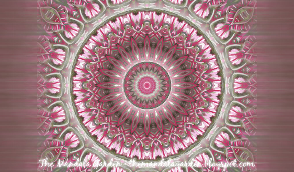 fond d'écran mandala,rose,modèle,art psychédélique,symétrie,cercle